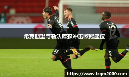 希克期望与勒沃库森冲击欧冠座位